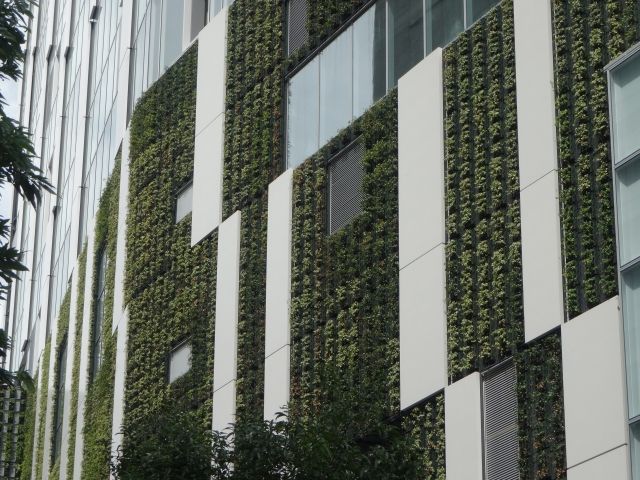 壁面緑化のされたオフィスビル